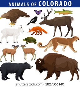 vector set - animals of Colorado: