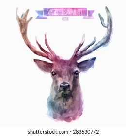 Vector Set Of Animals. Deer Hand Painted Watercolor Illustration Isolated On White Background