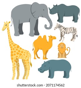 Grupo vectorial de animales, elefante, jirafa, hipopótamo, león, camello, rinocerontes, cebra