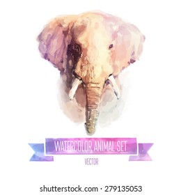 Vector Set Of Animals. Elephant Hand Painted Watercolor Illustration Isolated On White Background