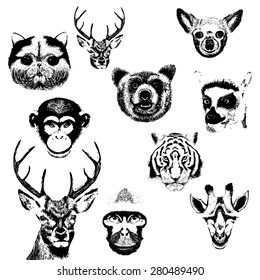 conjunto vectorial de animales silueta gruesa, gato, perro, jirafa, tigre, querido, oso, lemur, mono