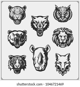 Vector set of animals head. Fox, wolf, tiger, rhino, bear, owl, leopard and lion.
