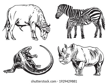 Vector set of animals isolated on white background, African collection elements