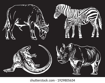 Vector set of animals isolated on black background, African collection elements