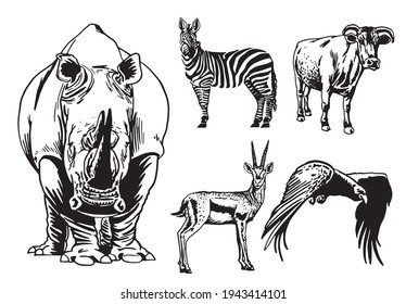 Vector set of animals isolated on white background, African collection elements