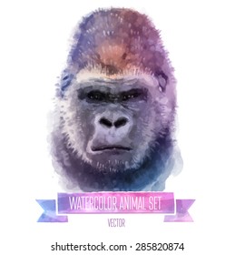 Vector set of animals. Monkey hand painted watercolor illustration isolated on white background