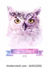 Vector set of animals. Owl hand painted watercolor illustration isolated on white background