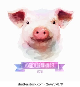 Vector set of animals. Pig hand painted watercolor illustration isolated on white background