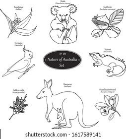 Vector set with animals and plants of Australia. Part 1. Amazing exotic nature. Isolated over white background. For coloring books, children`s books, presentation, magazines, design, factories.