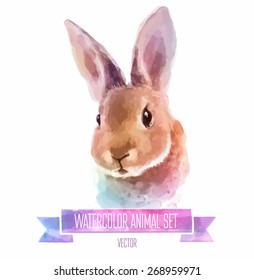 Vector set of animals. Rabbit hand painted watercolor illustration isolated on white background