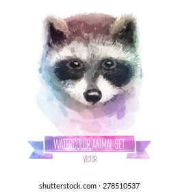 Vector set of animals. Raccoon hand painted watercolor illustration isolated on white background