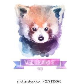 Vector set of animals. Red panda hand painted watercolor illustration isolated on white background