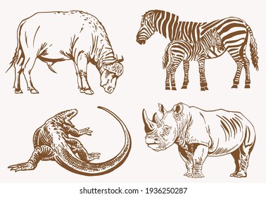 Vector set of animals, sepia background, African collection elements	