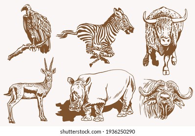Vector set of animals, sepia background, African collection elements	