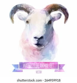 Vector set of animals. Sheep hand painted watercolor illustration isolated on white background