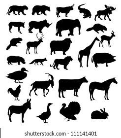 vector set of animals silhouette