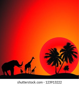vector set of animals silhouette