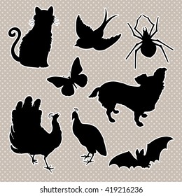 Vector set of animals silhouettes: cat, bird, spider, butterfly, dog, peacock, bat