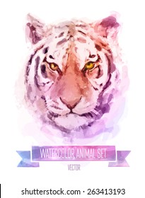 Vector set of animals. Tiger hand painted watercolor illustration isolated on white background