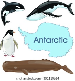 vector set Antarctic