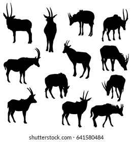 vector set of antelopes, hand drawn silhouettes of animals isolated at white background