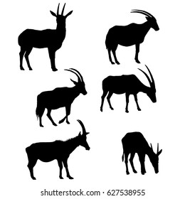 vector set of antelopes silhouettes, hand drawn animals isolated at white background