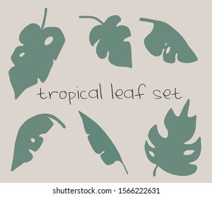 vector set of antique tropical leaves