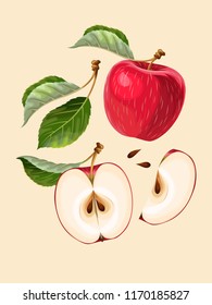Vector set of apple fruits and leaves