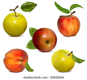 Vector set of apples and ripe peaches.