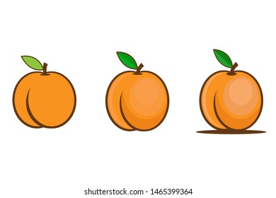 Vector set of apricot isolated on white background. Juicy and ripe summer fruit. 
