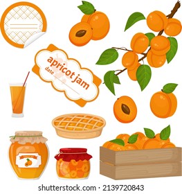 Vector set with apricots, apricot jam and pie and stickers for cans.