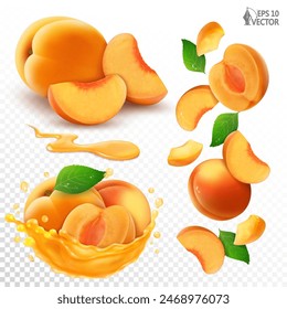 Vector set of apricots. Ripe whole and sliced fruits in a realistic transparent juice splash. Natural falling pieces of cut fresh apricots. 3D food illustration for advertising and packaging design