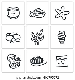 Vector Set of Aquarium Icons. Capacity, fish, starfish, pebble, reed, light, desire, brush, feed. Underwater World at home, hobby for relaxation.