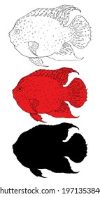 Vector set of aquarium red fish Texas cichlid. hand drawn aquarium fish in sketch style with black line and silhouette and red fish with texture dots and stripes isolated elements for design template 