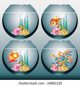 Vector conjunto de acuarios con peces dorados