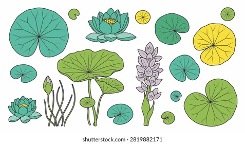 Vector set of aquatic plant leaves and lotus flowers. Includes various lily pads, buds, and blooming water lilies in flat color style on a white background for design.