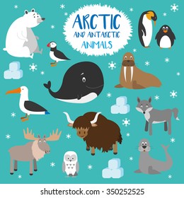 Vector set Arctic and Antarctic animals. Penguin, polar bear, seal, reindeer, whale, snowy owl, albatross, puffin, walrus, fox and yak. Set of polar animals. Flat style character. Vector illustration