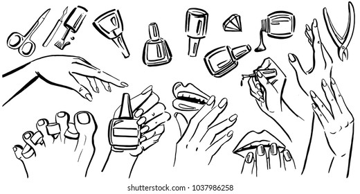 Vector set art with nails and nail polish. Vector hands and foot. For masters of manicure. Manicure set