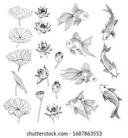 Vektorillustration mit asiatischer Flora und Fauna: Fische, Kolibris, Lotus und Magnolienblumen