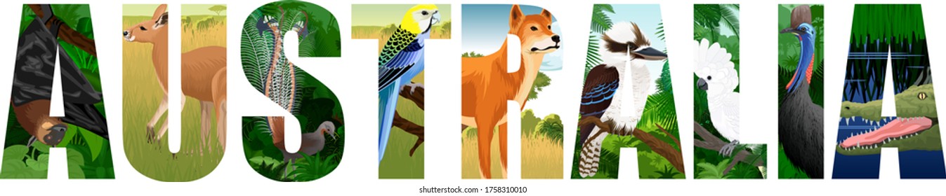 vector set of Australia word with animals with lyreburd, dingo, bat, parrot, crocodile, kookaburra, kangaroo and cassowary