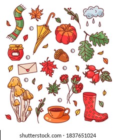 Vector set of autumn badges and stickers. Collection: maple leaves, gumboots, mushrooms, wild rose, tea mug, jam, pumpkin, envelope, artichoke.Trendy illustration for t-shirt or banner printing.