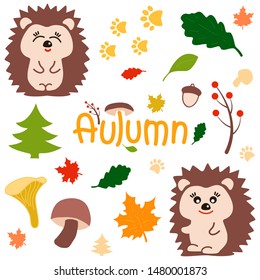 Vector set of Autumn cartoon characters, plants and leaves. Fall season. Forest animals. Collection for design and Autunm decoration. Vector autumn set, leaves, cones, hedgehog, mushrooms.  