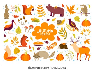 Vector set of Autumn cartoon characters, plants and leaves. Fall season. Forest animals. Collection for design and Autunm decoration