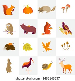 Vector set of Autumn cartoon characters, plants and leaves. Fall season. Forest animals. Collection for design and Autunm decoration