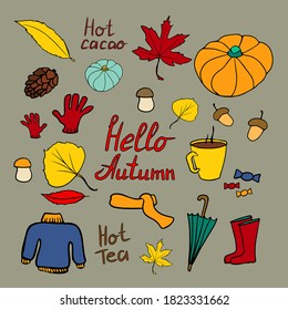 Vector set of autumn: cone, leaf, acorn, cup of tea, gloves, cozy clothes, umbrella, rubber boots, lettering.
doodle style graphic elements for your design