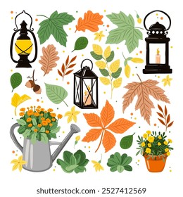Vector set of Autumn decoration - black lanterns with candles, autumn season flowers, leaves, oak, maple