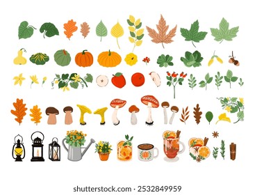 Vector set of Autumn decoration - leaves, pumpkins, mushrooms, apples, lanterns, hot autumn drinks, flowers, oak, maple isolated on white background
