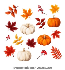 Vector set of autumn design elements. Autumn leaves and pumpkins isolated on a white background.