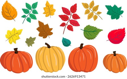 vector set of autumn elements colorful pumpkins and fall leaves, isolated graphic illustration collection for seasonal designs, thanksgiving and harvest themes
