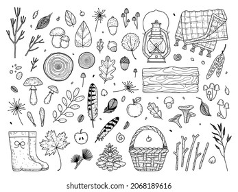 Vector set of autumn elements dried herbs, leaves, mushrooms, kerosene lantern, rain boots, basket, saw cut wood, knitted blanket, feathers. Cute forest treasures and hiking items.